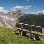 Vieux Valais Vb *