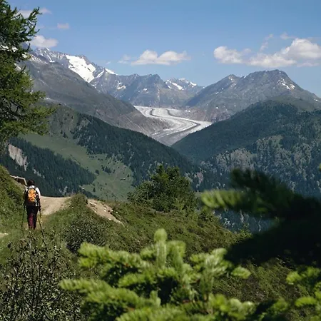 Vieux Valais Vb Blatten bei Naters