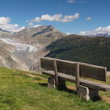 Vieux Valais Vb *