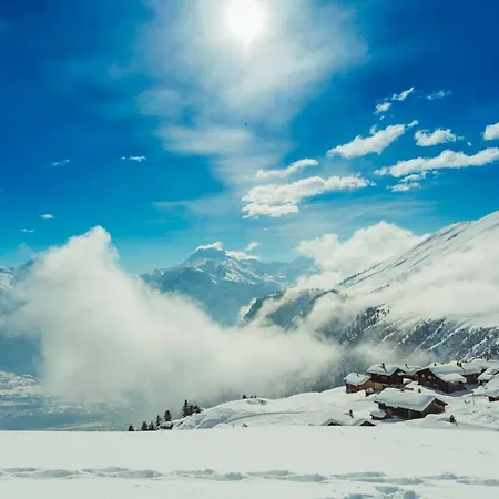 Vieux Valais Vb *