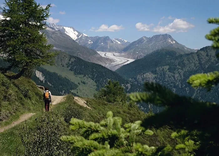 Vieux Valais Vb Blatten bei Naters