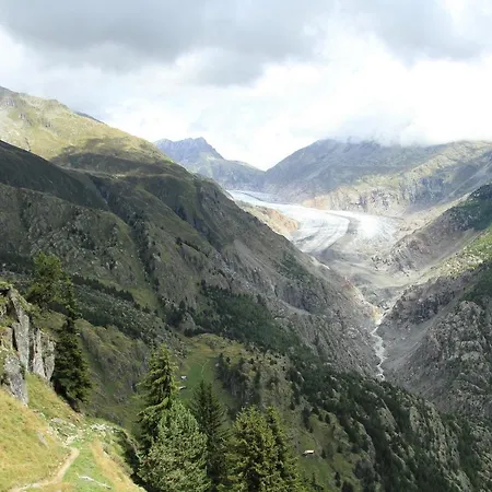 Vieux Valais Vb Appartamento *